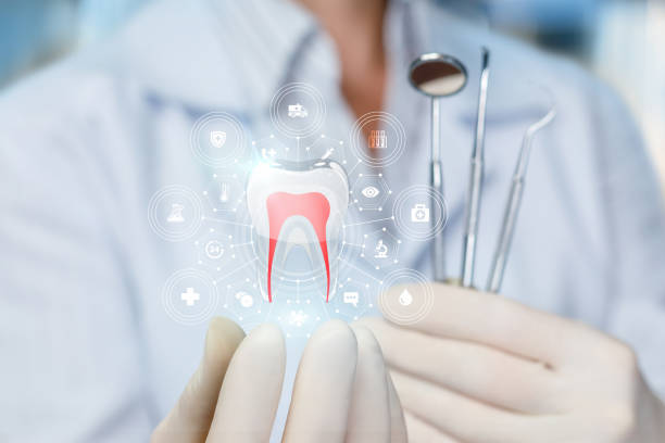 Best Emergency Dental Care  in Palmer, TX